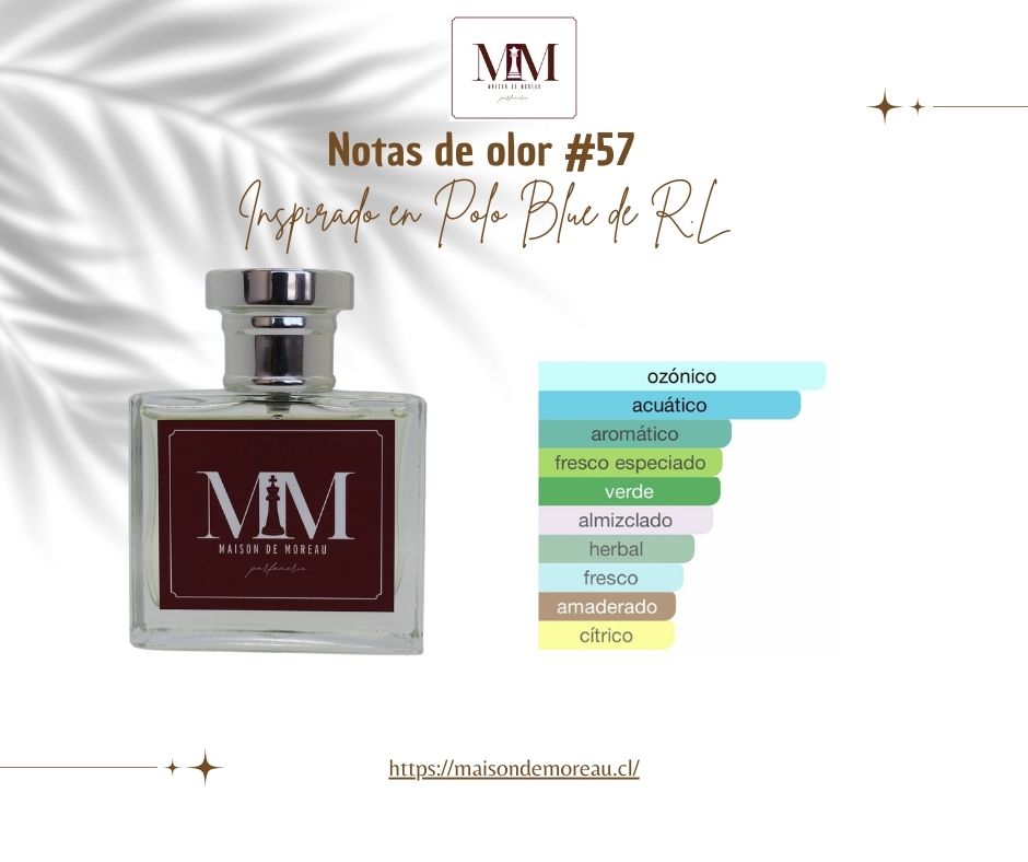 Notas de olor perfume inspirado Polo Blue R.L # 57